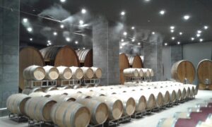 Cantine vinicole